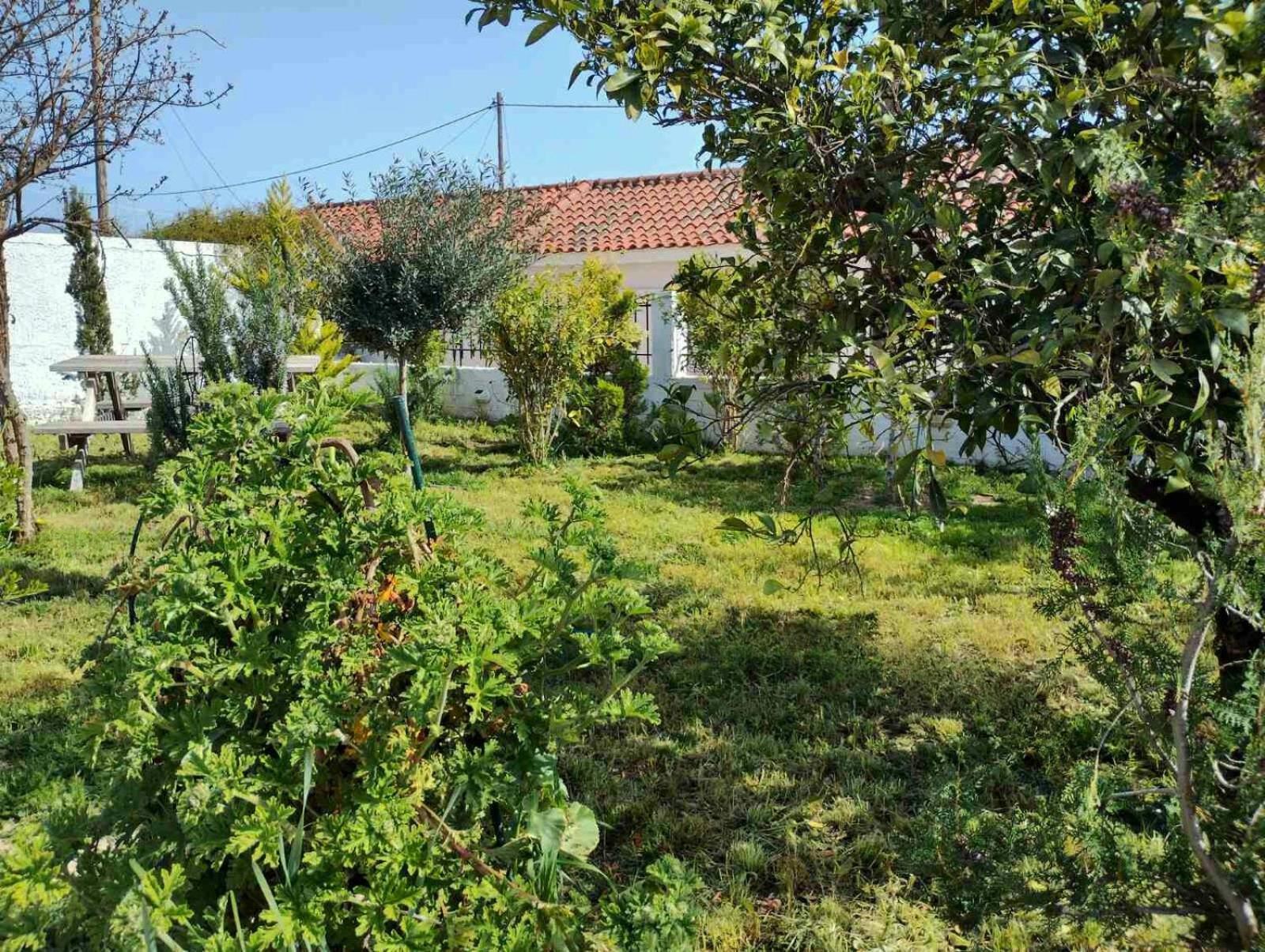 Nafplio Cottage-Grandma'S Yard Asíni 外观 照片